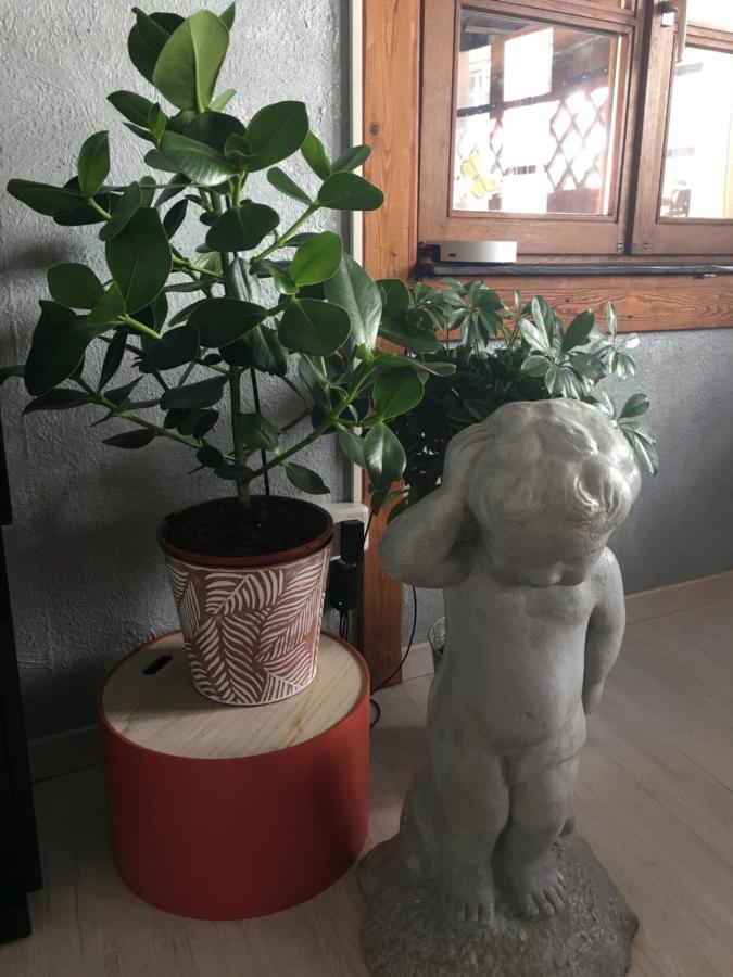 Logement confortable dans maison alsacienne Oberbronn Extérieur photo
