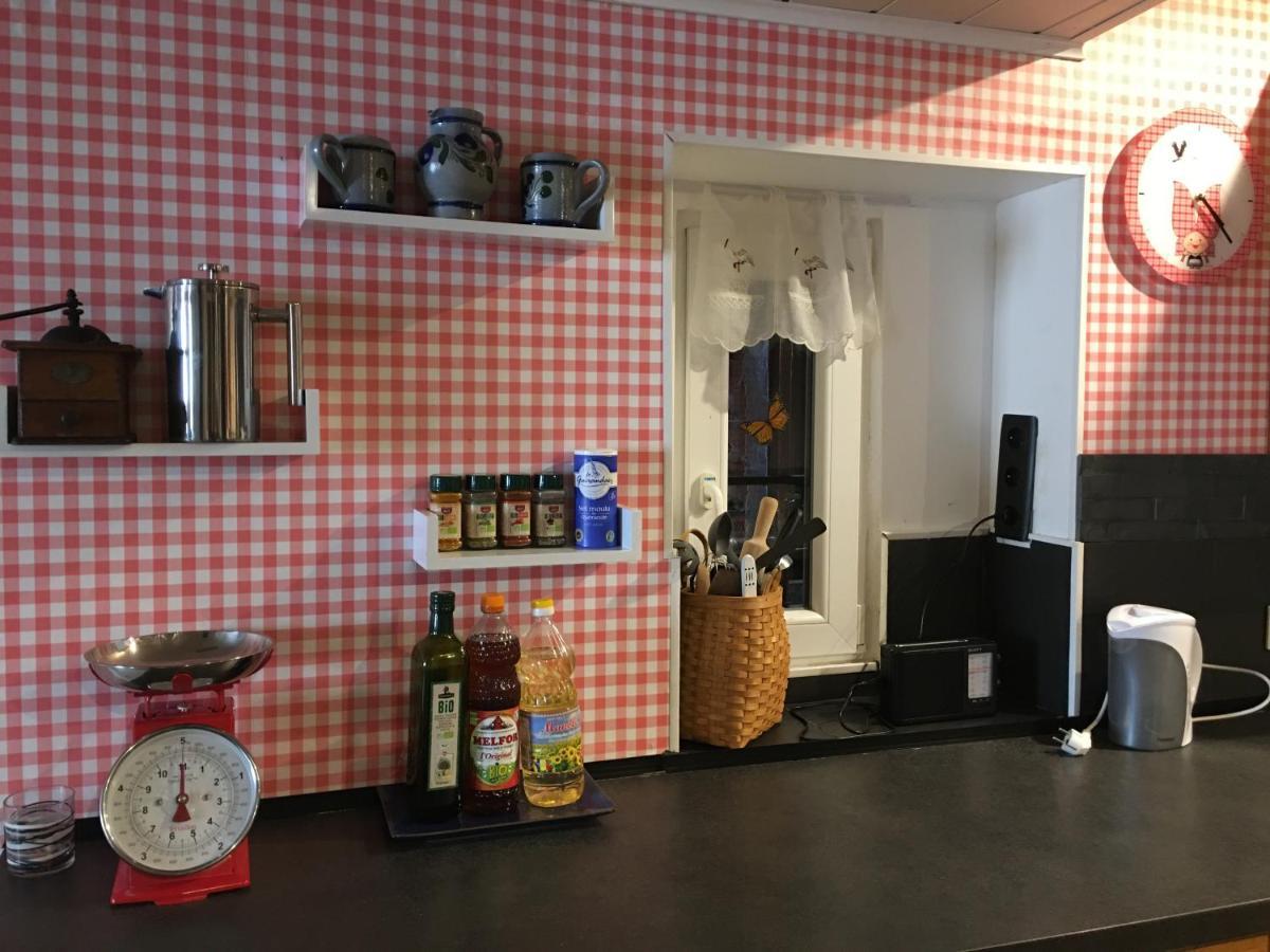Logement confortable dans maison alsacienne Oberbronn Extérieur photo