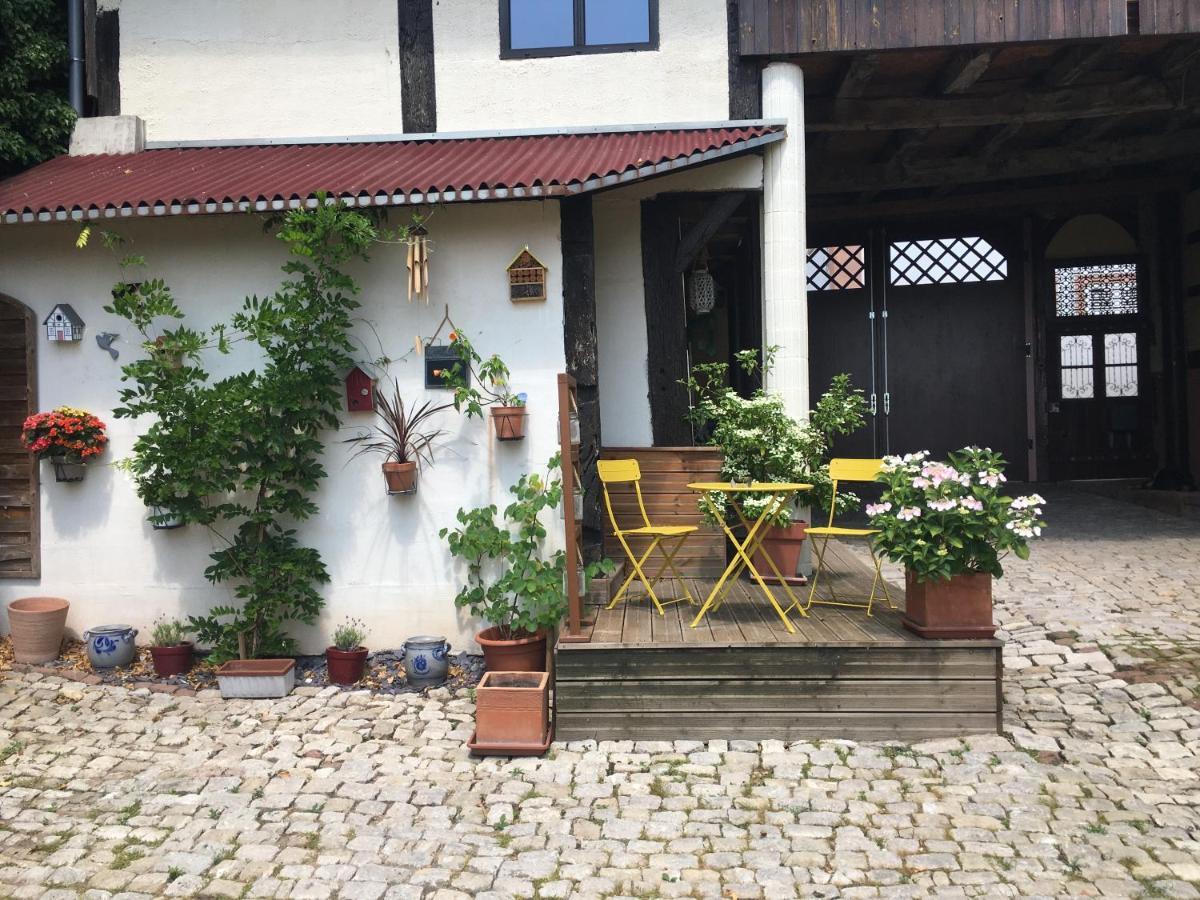 Logement confortable dans maison alsacienne Oberbronn Extérieur photo